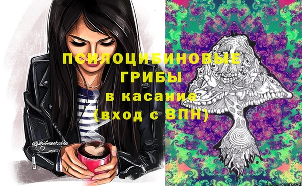 apvp Приозерск